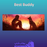 بنر Best-Buddy