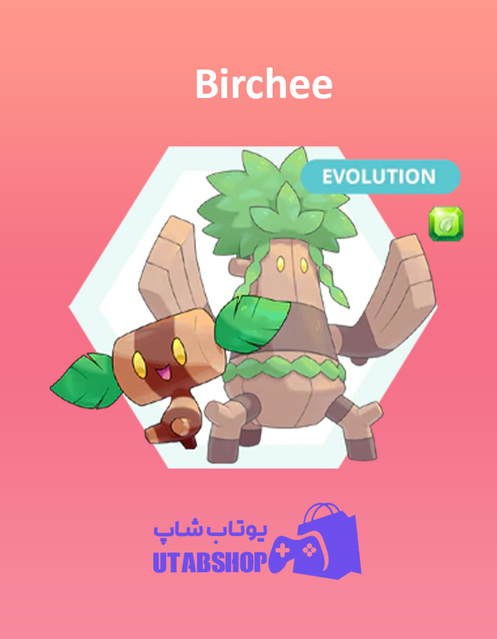 مانستر Birchee