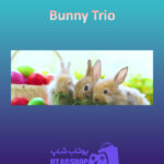 بنر Bunny-Trio