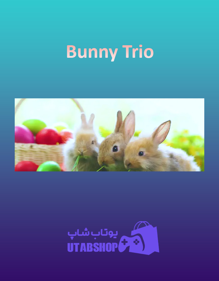 بنر Bunny-Trio