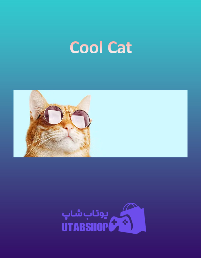 بنر Cool-Cat