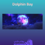 بنر Dolphin-Bay