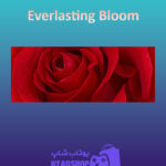 بنر Everlasting-Bloom