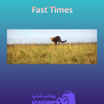 بنر Fast-Times
