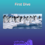 بنر First-Dive