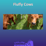 بنر Fluffy-Cows