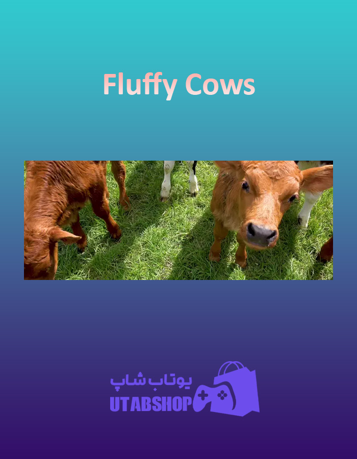 بنر Fluffy-Cows