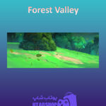 بنر Forest-Valley