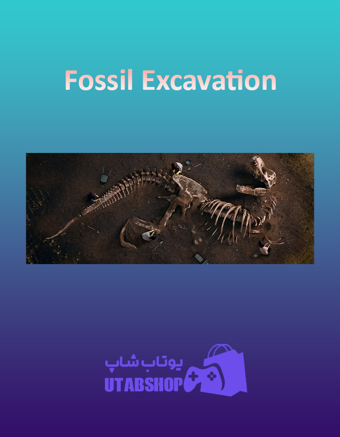 بنر Fossil-Excavation