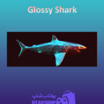 بنر Glossy-Shark