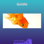 بنر Goldie