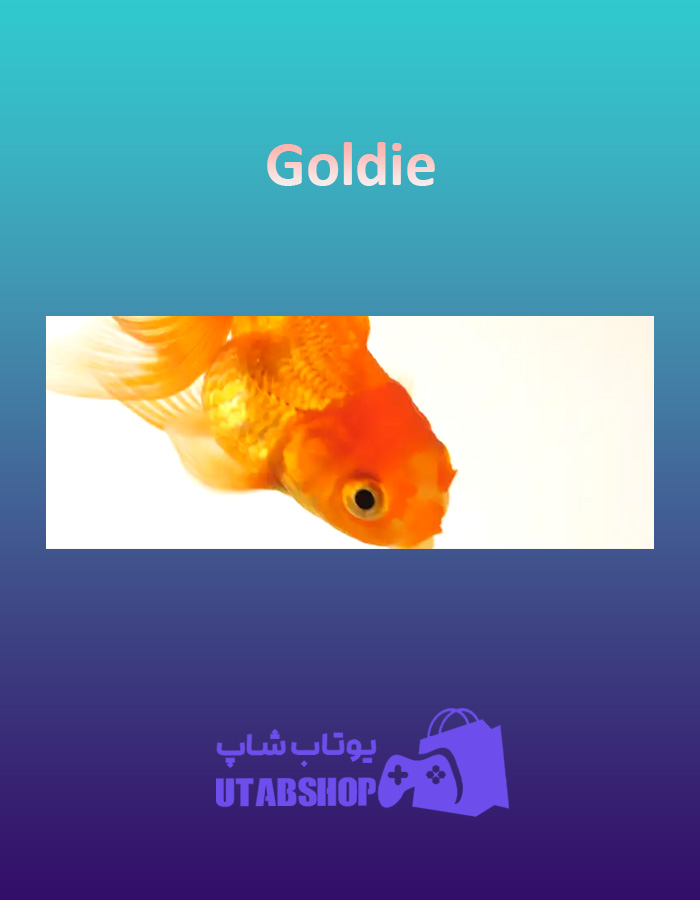 بنر Goldie