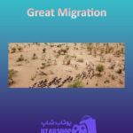 بنر Great-Migration