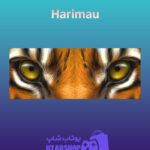 بنر Harimau