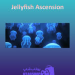 بنر Jellyfish-Ascension