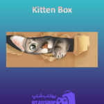 بنر Kitten-Box