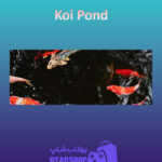 بنر Koi-Pond