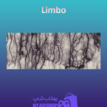 بنر Limbo