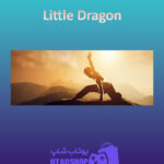 بنر Little-Dragon