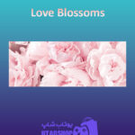 بنر Love-Blossoms