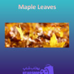 بنر Maple-Leaves
