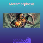 بنر Metamorphosis