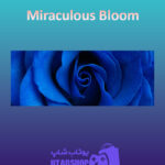 بنر Miraculous-Bloom