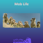 بنر Mob-Life