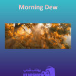 بنر Morning-Dew