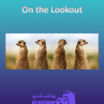 بنر On-the-Lookout