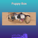 بنر Puppy-Box