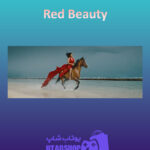 بنر Red-Beauty