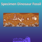 بنر Specimen-Dinosaur-Fossil