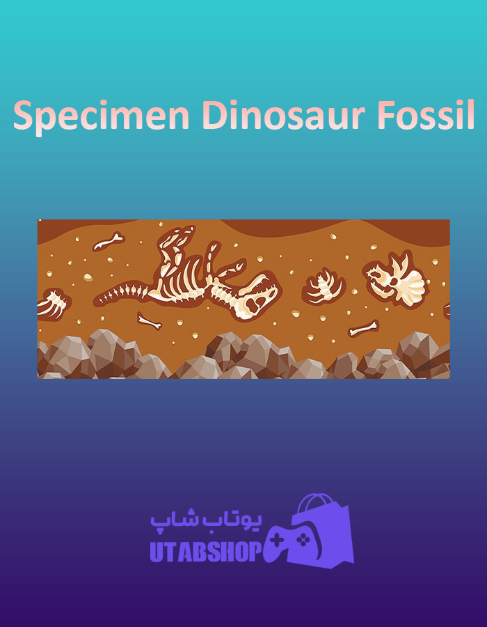 بنر Specimen-Dinosaur-Fossil