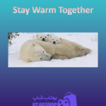 بنر Stay-Warm-Together