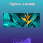 بنر Tropical-Blossom