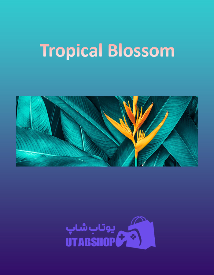 بنر Tropical-Blossom