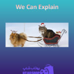 بنر We-Can-Explain