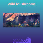 بنر Wild-Mushrooms
