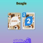 اوچو-Beagle