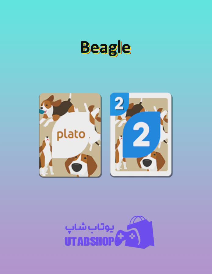 اوچو-Beagle