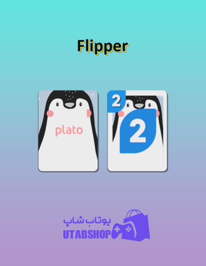 اوچو-Flipper