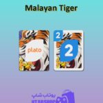 اوچو-Malayan Tiger