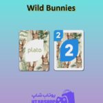 اوچو-Wild Bunnies