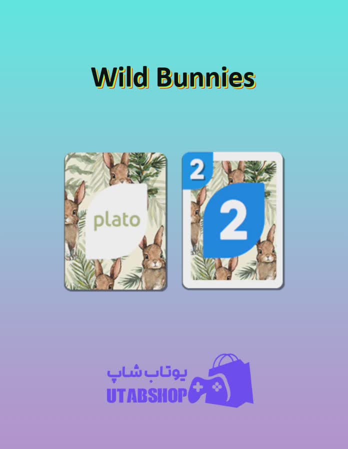 اوچو-Wild Bunnies