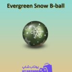 بسکتبال-Evergreen Snow B-ball