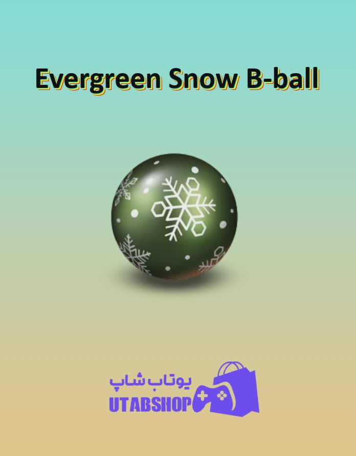 بسکتبال-Evergreen Snow B-ball