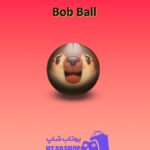 بولینگ-Bob Ball