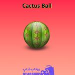 بولینگ-Cactus Ball