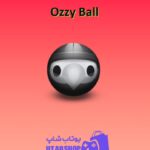 بولینگ-Ozzy Ball